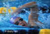 Swimming2web.jpg (60783 bytes)