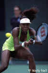 Tennis_Venus1web.jpg (34920 bytes)